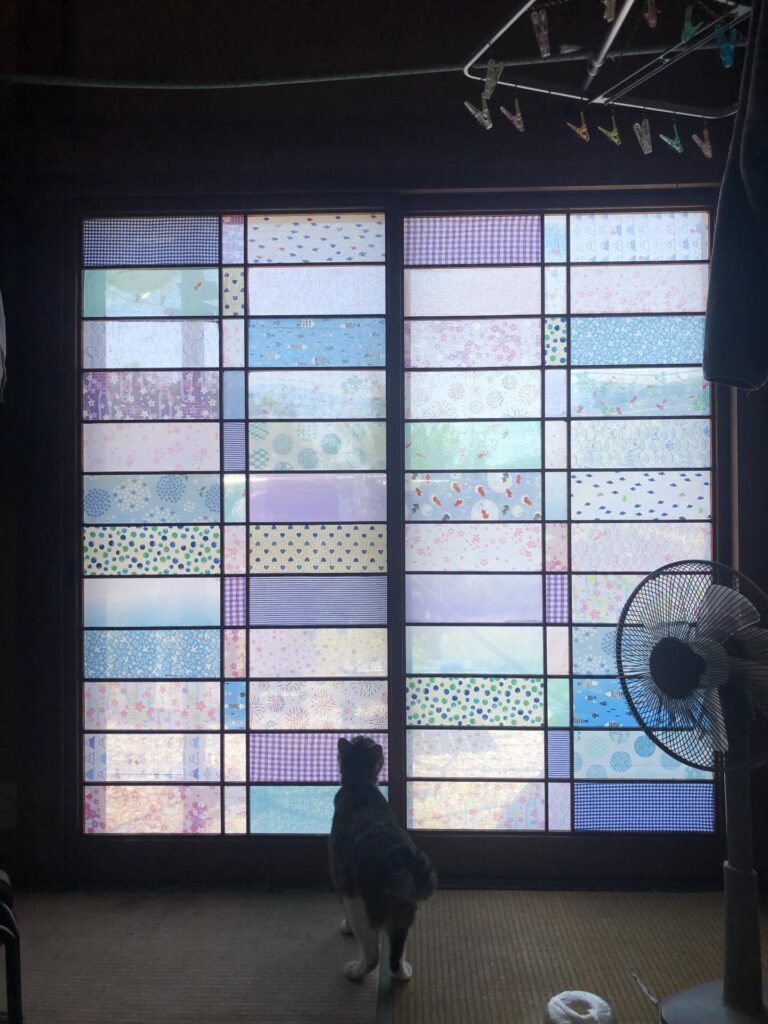 障子戸を見に来たひめくん（re.ikoさんより提供）