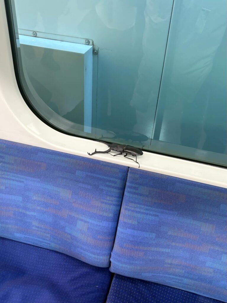 電車の座席に…①（＠akuy._.onihさんより提供）