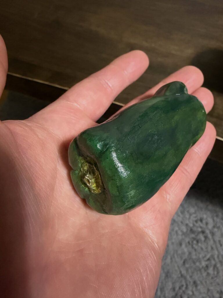 落ちていたピーマンは…（＠boseman5956さんより提供）