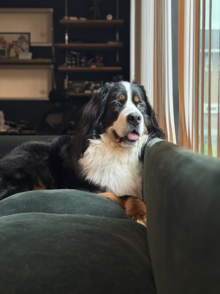 ドニーちゃん③（＠donnie_logさんより提供）