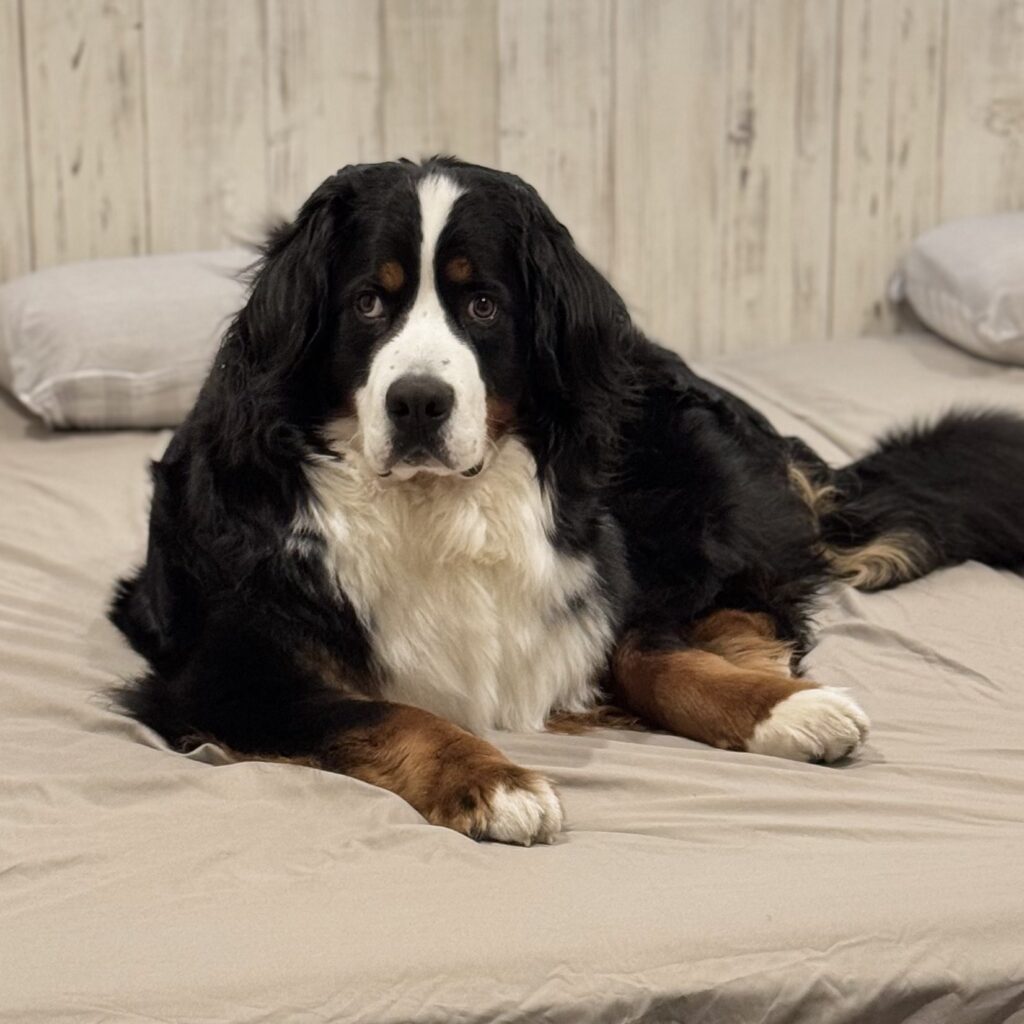 ドニーちゃん②（＠donnie_logさんより提供）