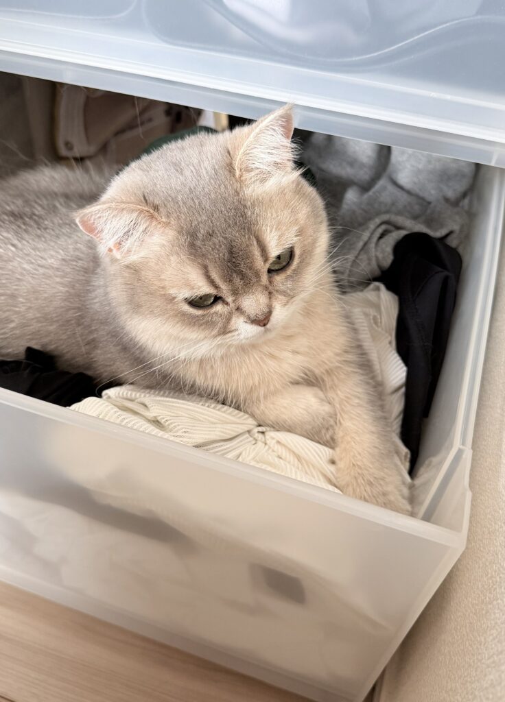 収納ケースの中には…②（＠nico_mia_lifeさんより提供）