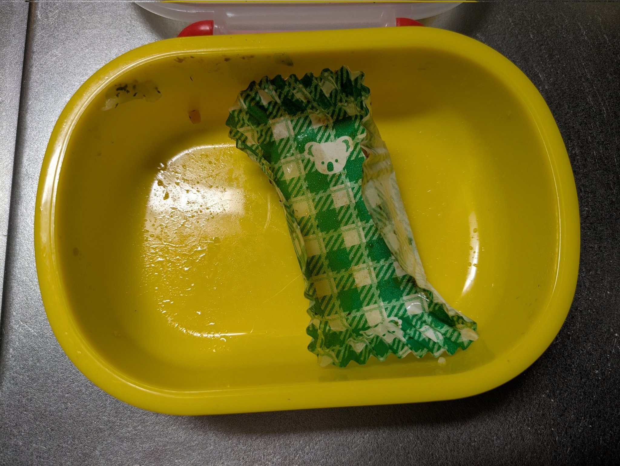 空になった3歳のお弁当。しかし、母が感涙する“理由”に「それはめっちゃ泣ける」「お気持ちわかります」