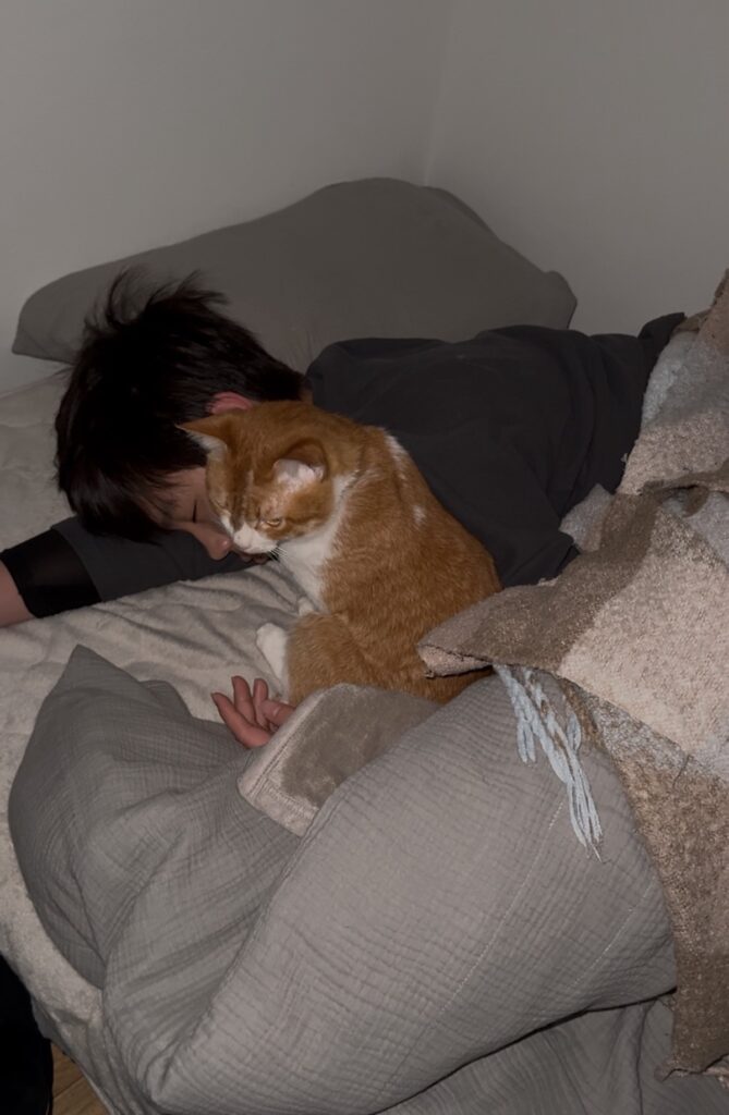 普段の猫ちゃんとの様子③（@shake.kanpachiさんより提供）