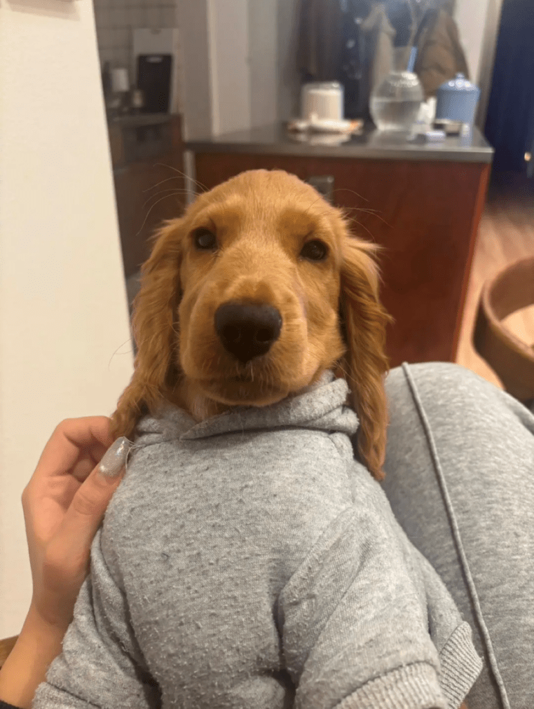 普段の様子①（＠zushiryoさんより提供）