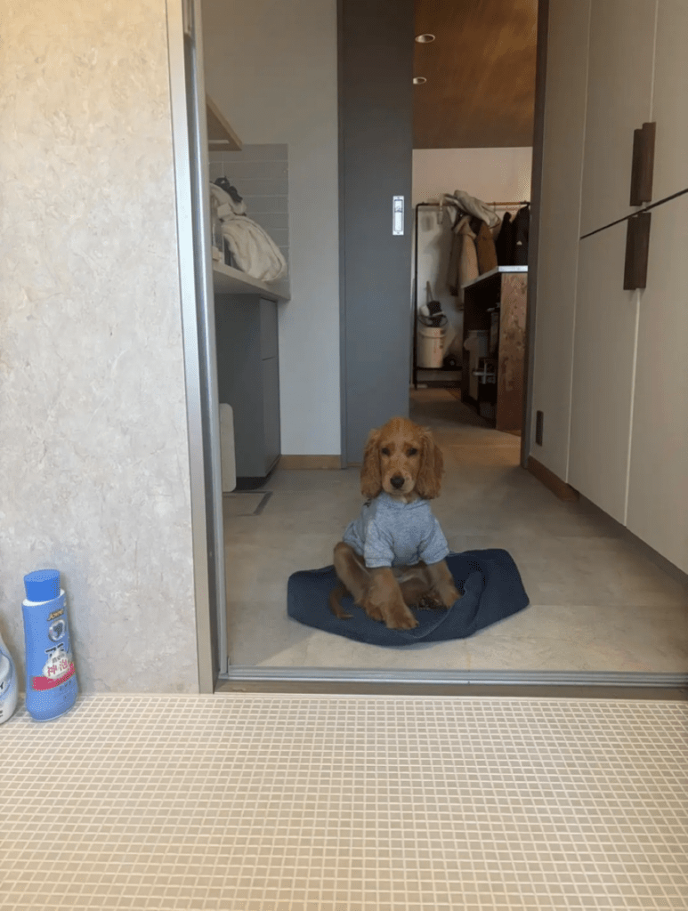 普段の様子②（＠zushiryoさんより提供）