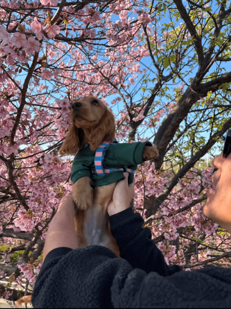 普段の様子③（＠zushiryoさんより提供）