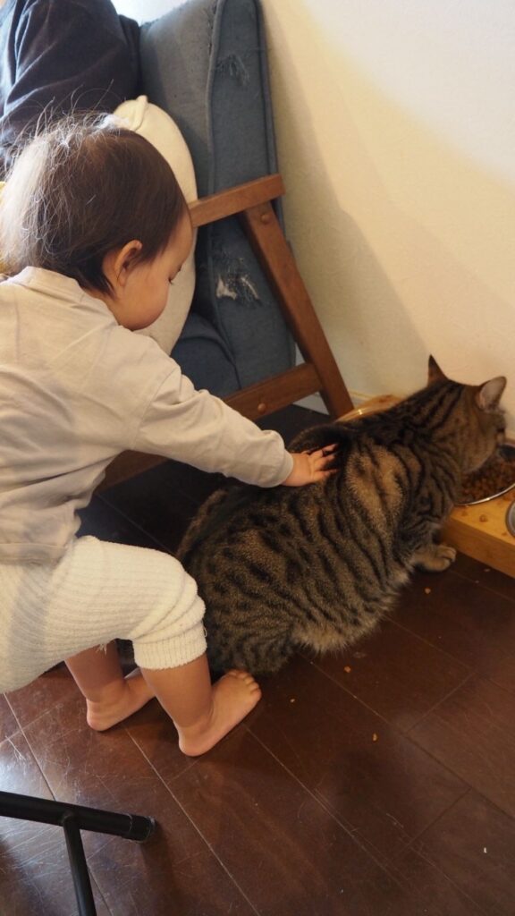 普段の様子①（＠tokidoki.otonさんより提供）