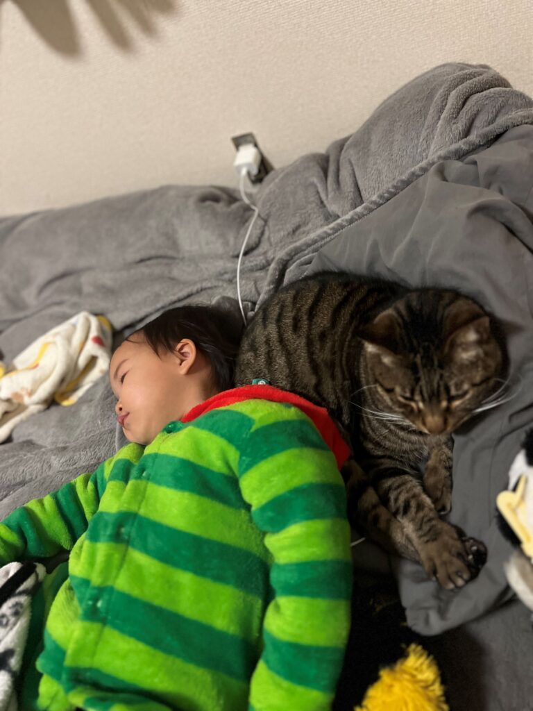 普段の様子②（＠tokidoki.otonさんより提供）