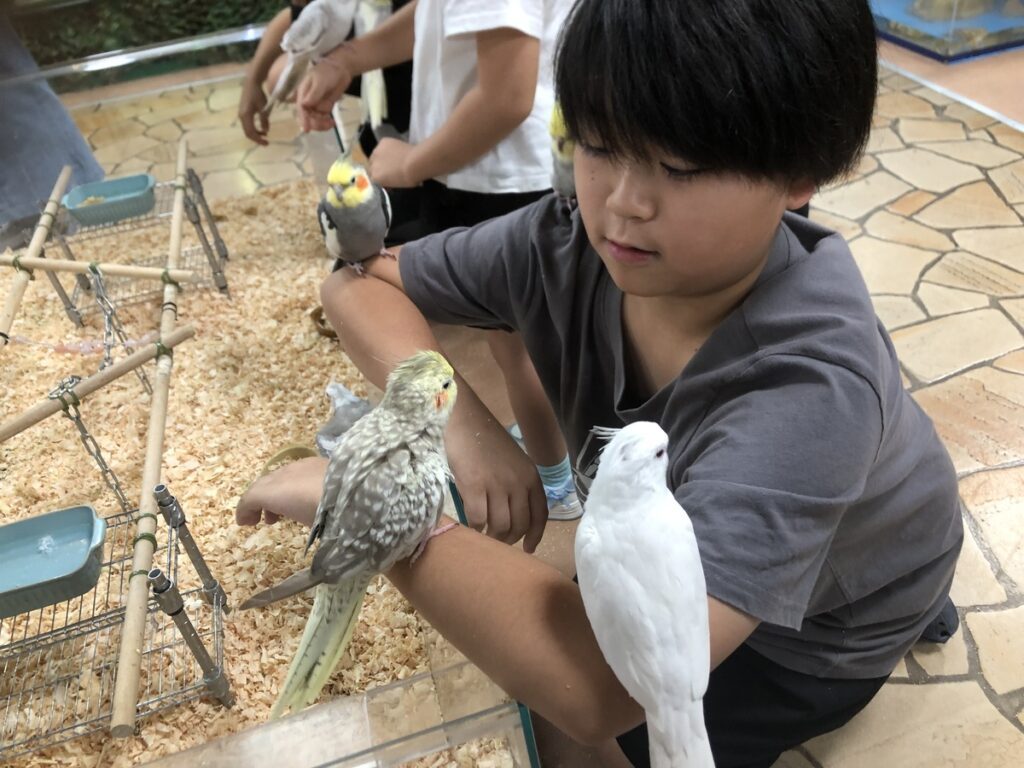 【実際の写真】　母の投稿した写真