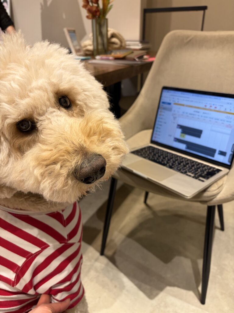 普段のチユくん⑤（＠chiyu_ningenさんより提供）