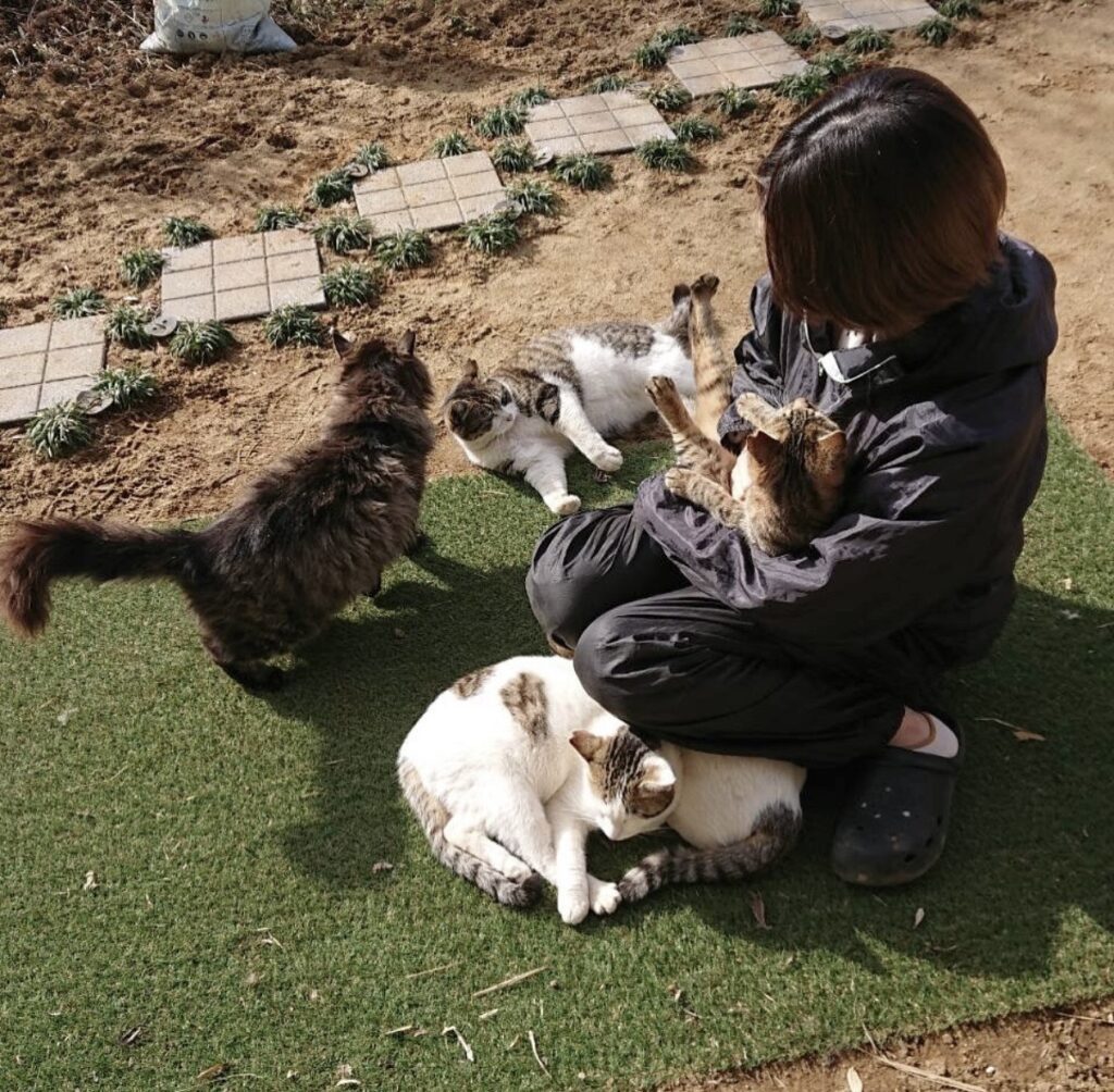 猫と一緒に育った息子（提供元：＠365dayshusbandさん）