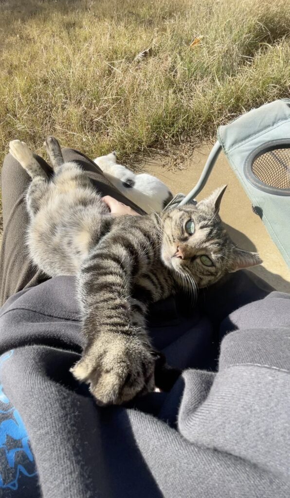 猫と一緒に育った息子（提供元：＠365dayshusbandさん）