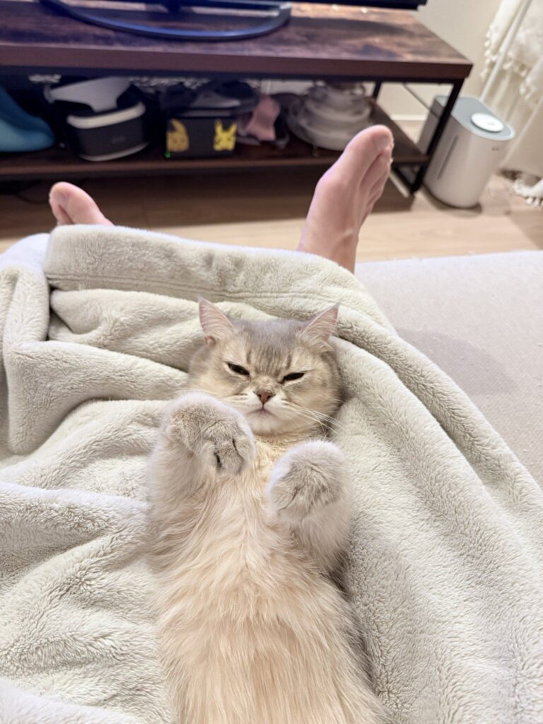 普段の様子①（＠nico_mia_lifeさんより提供）