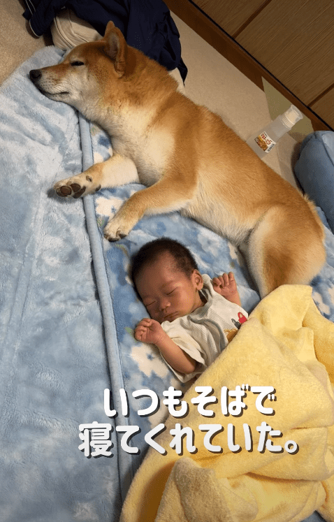 【実際の画像】　現在の様子