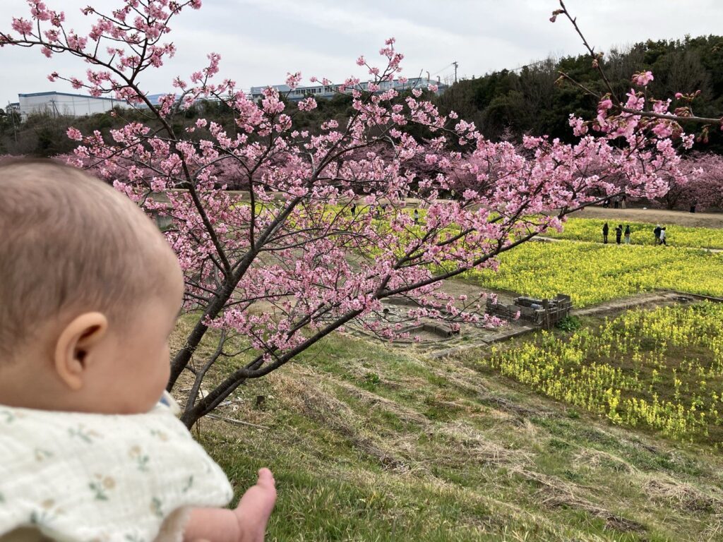 普段の娘さん③（＠suiakacaccountさんより提供）