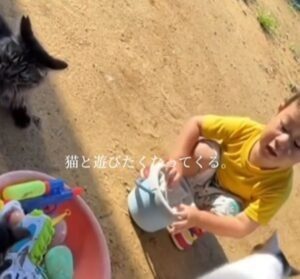 猫と一緒に育った息子（提供元：＠365dayshusbandさん）