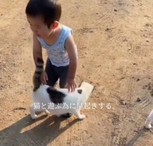 猫と一緒に育った息子（提供元：＠365dayshusbandさん）