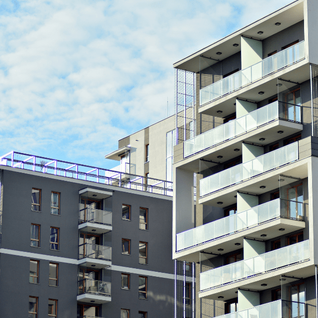 【実際の画像】　送られてきたモノ