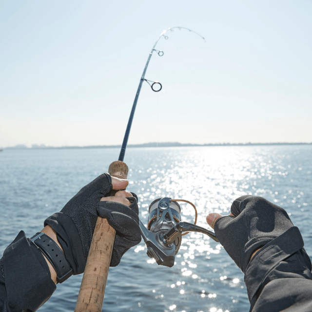 【実際の画像】　6時間かけた釣りの成果