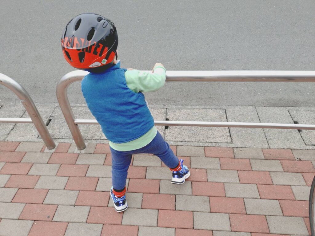 【実際の画像】　母が見た光景