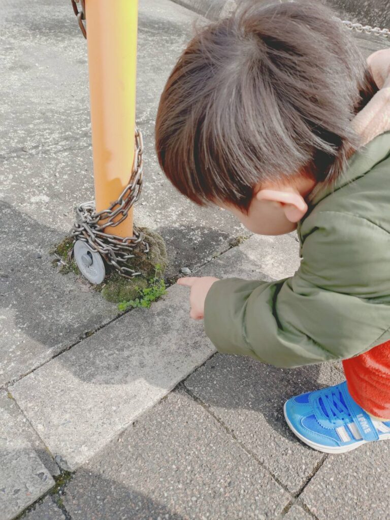 普段の息子さん②（＠asami6151121さんより提供）