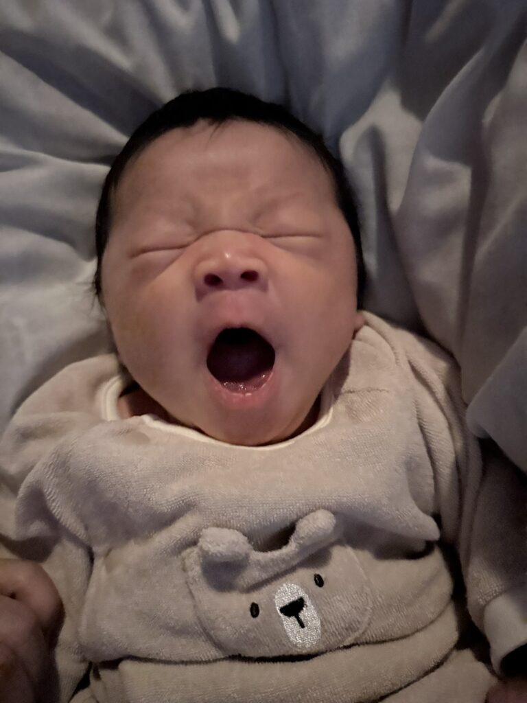 普段の様子②（@mari.nakajima0423さんより提供）