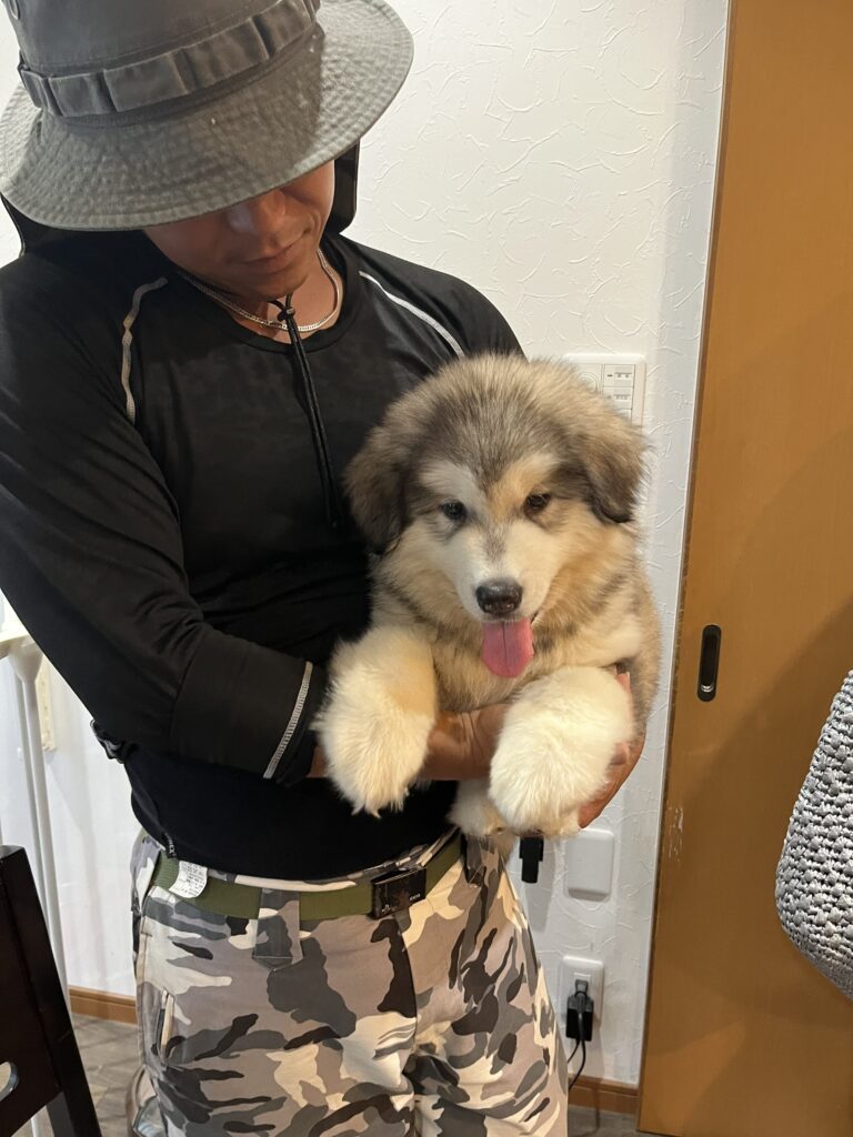 【実際の画像】　現在の様子