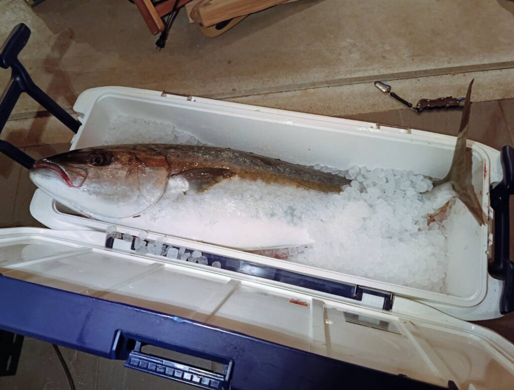 リベンジ釣り（＠ryoji.oiさんより提供）