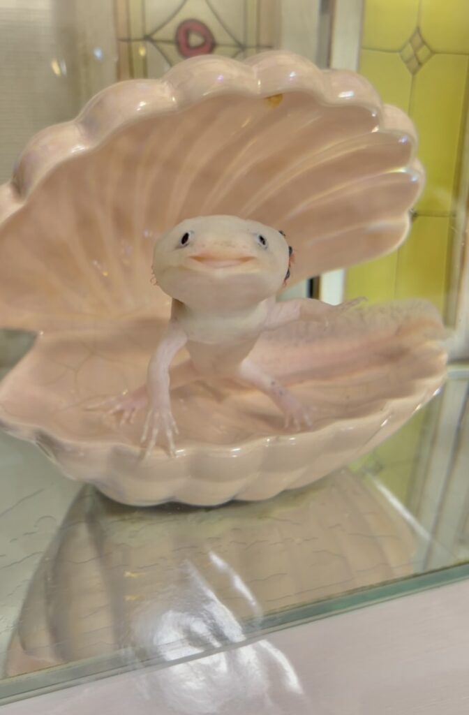 普段の様子①（＠_a_s_a_m_i_n_さんより提供）