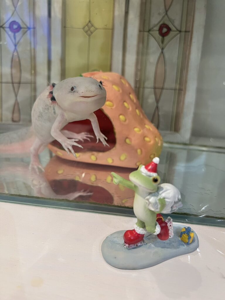 普段の様子②（＠_a_s_a_m_i_n_さんより提供）