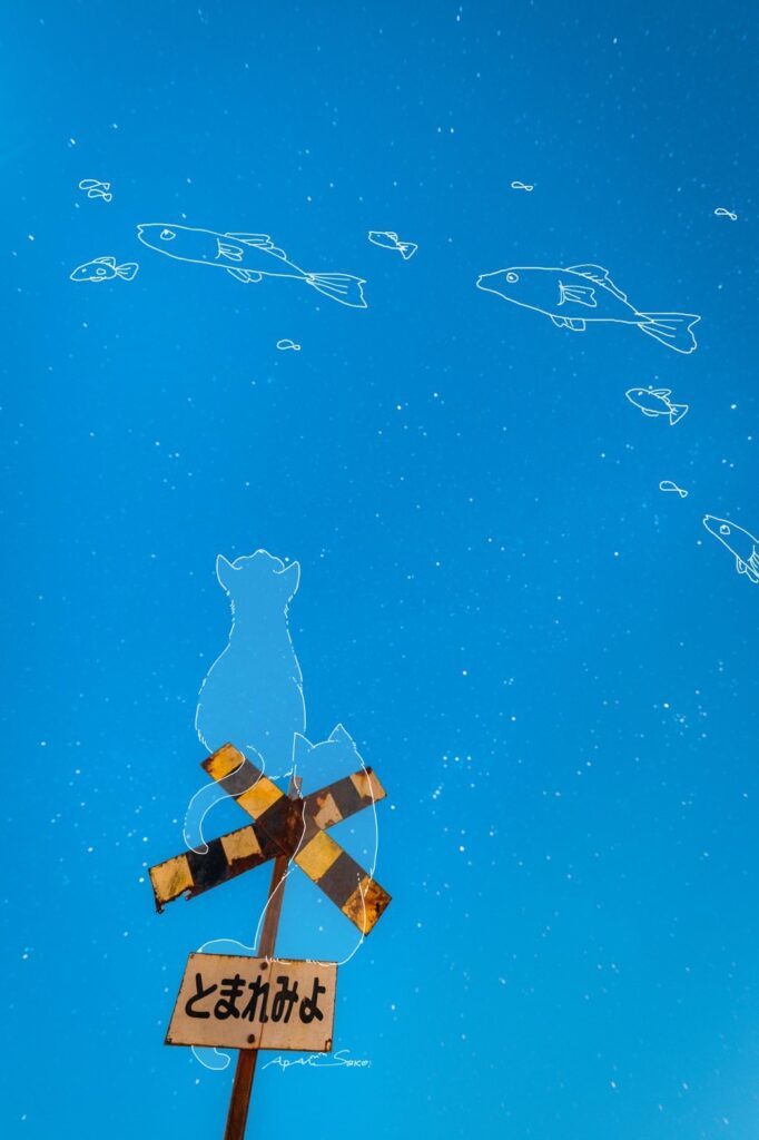 作品集の写真①（＠sara2626_ifさんより提供）