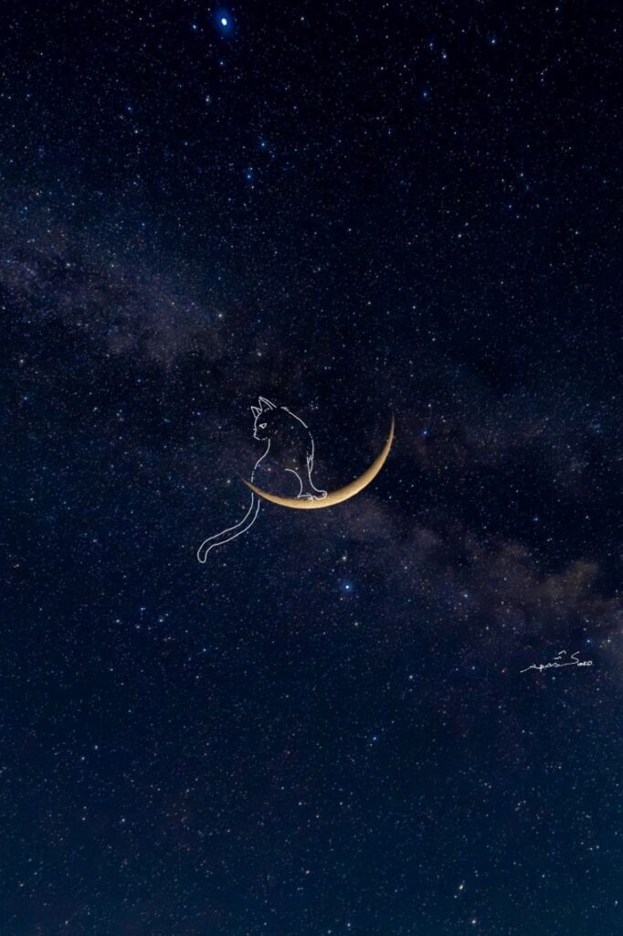 作品集の写真②（＠sara2626_ifさんより提供）