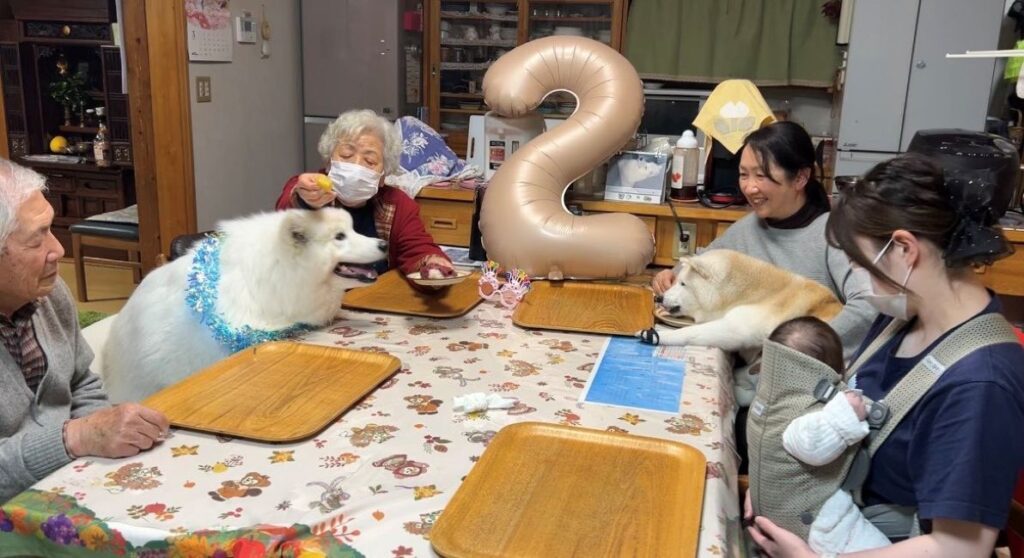 普段の様子②（＠ffwelkさんより提供）