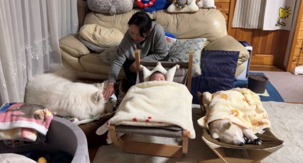 普段の様子①（＠ffwelkさんより提供）