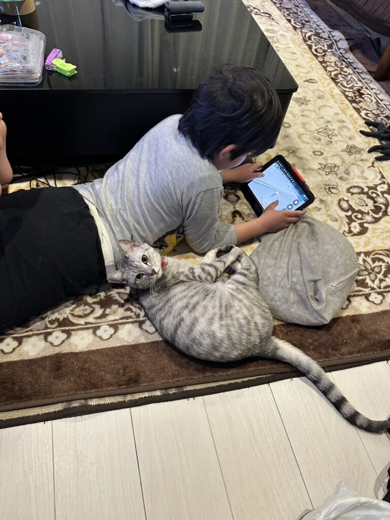 【実際の写真】　母が見た光景