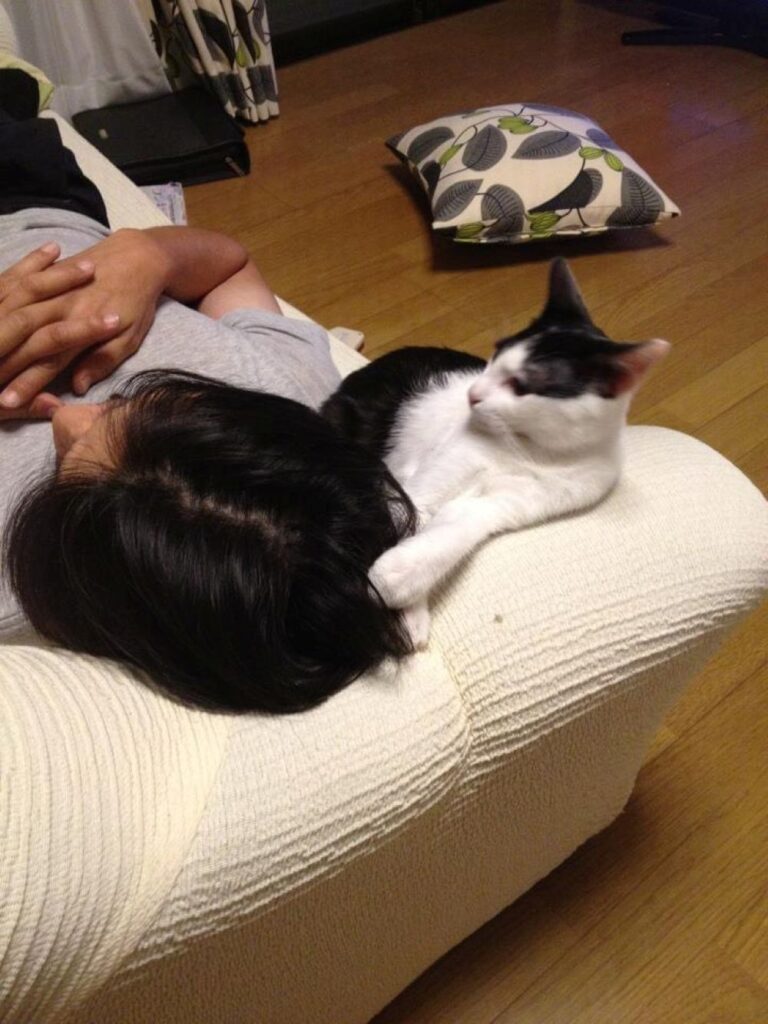 普段の旦那さん①（＠imikaoさんより提供）