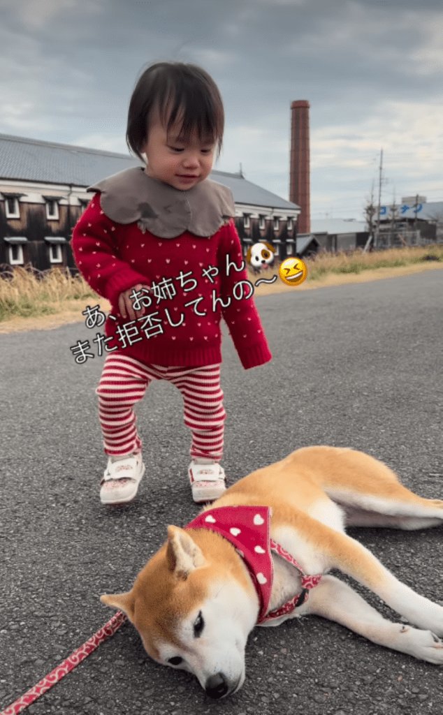 声をかける様子（＠shiba.tsukuneさんより提供）