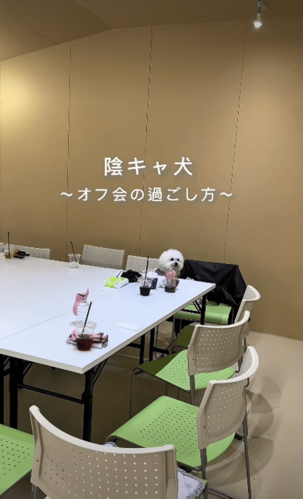 離れて座るぼんくん（＠bon__124さんより提供）