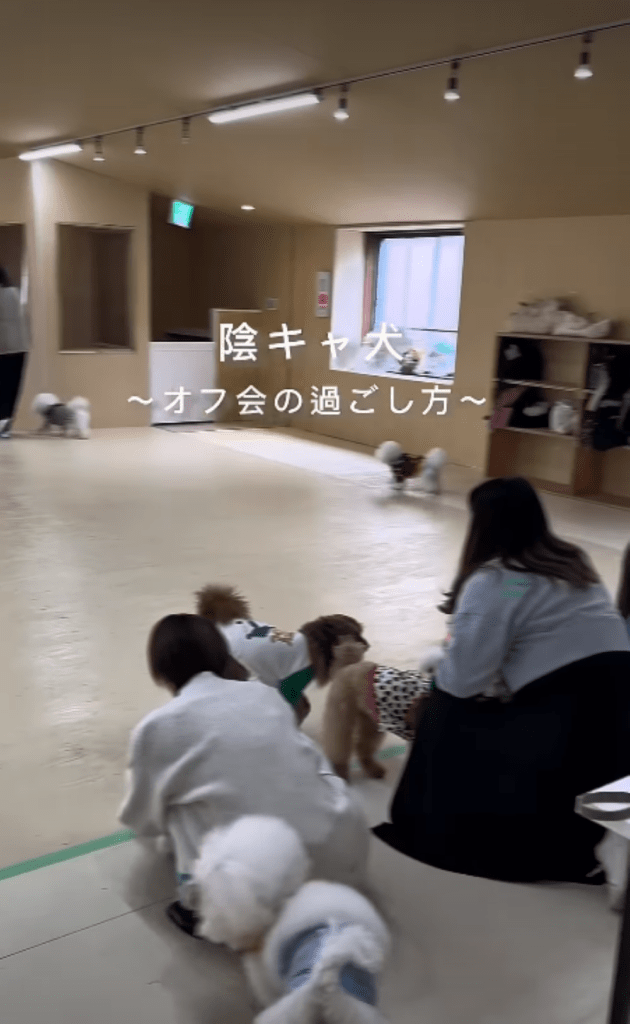 わんこオフ会の様子（＠bon__124さんより提供）