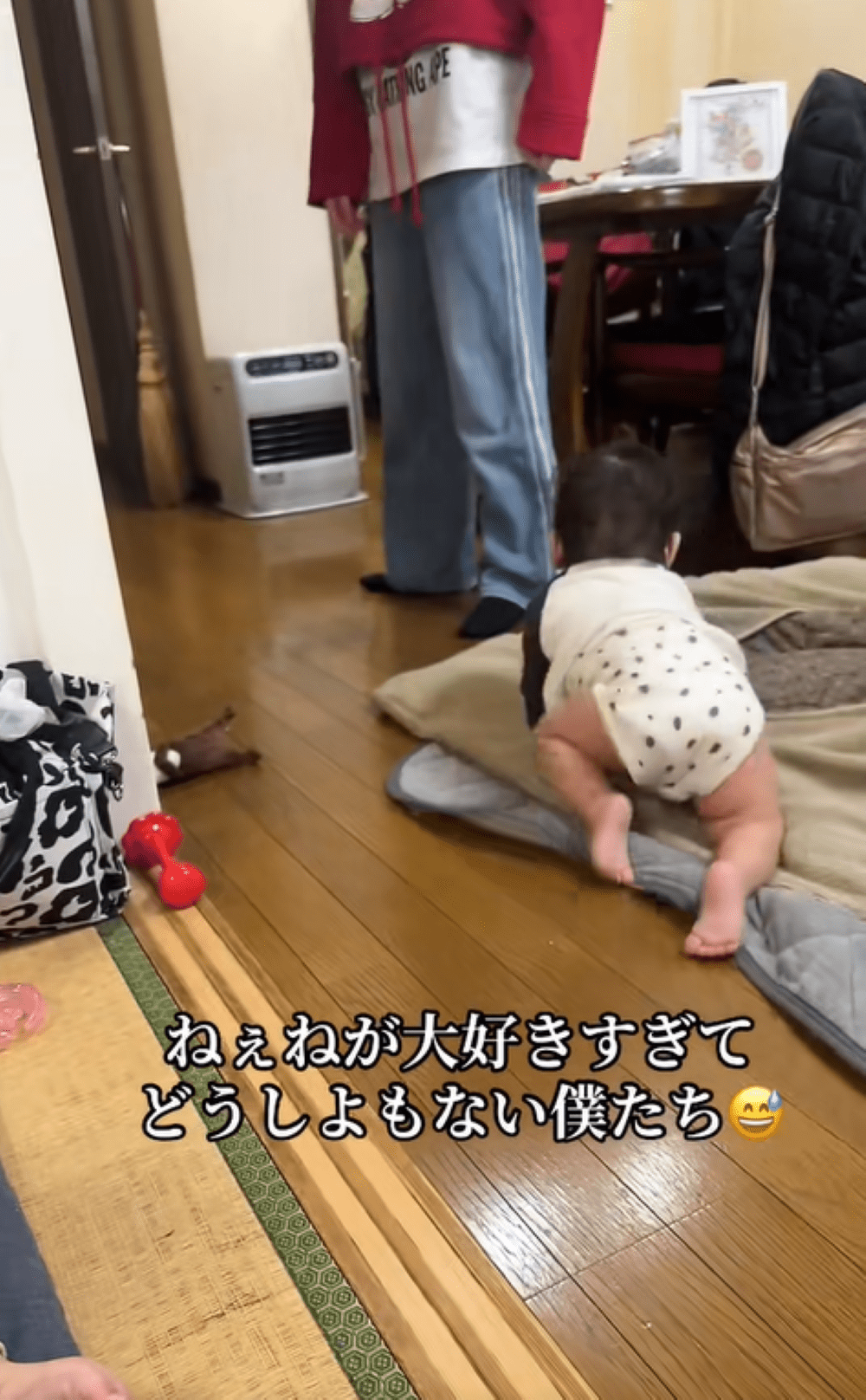 生後9ヶ月の双子。14歳姉が好きすぎる様子に「ねーねも大変ねw」「贅沢な悩みww」「可愛すぎる」