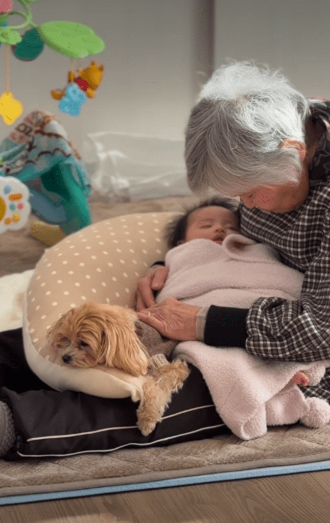 みんなでお昼寝①（＠maltipoo.churamiさんより提供）