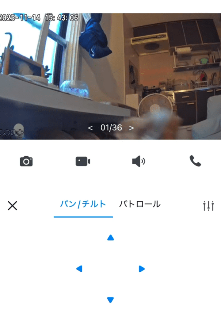 【実際の写真】カメラに映っていたもの