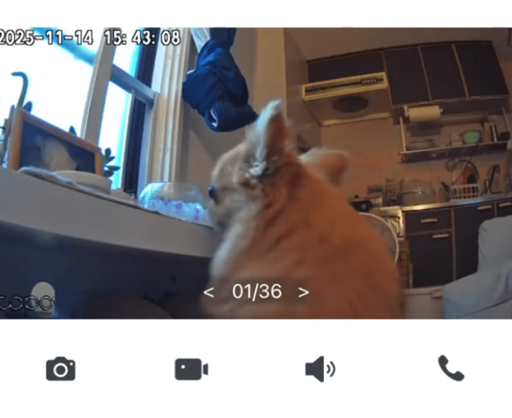 忍び寄るのは…（@yuyu.tanさんより提供）