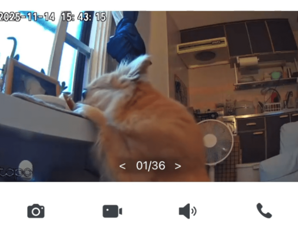 お供え物を食べる現行犯！（@yuyu.tanさんより提供）