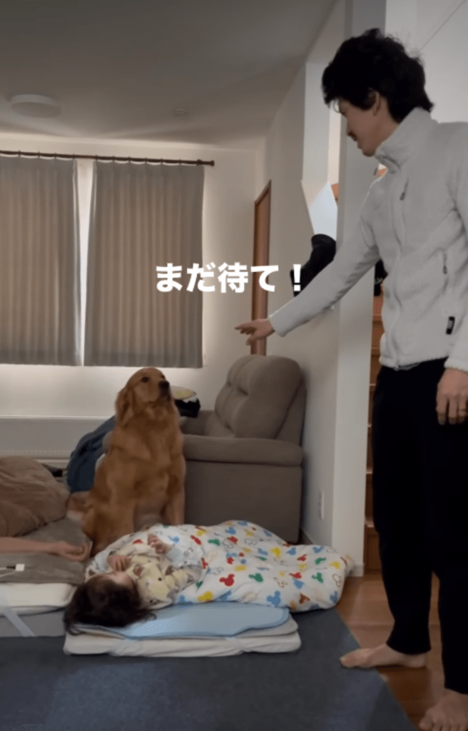 静止する様子②（＠umimal_no_bossさんより提供）