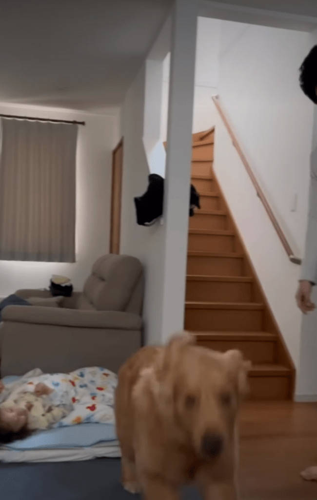 駆け寄る海丸くん（＠umimal_no_bossさんより提供）