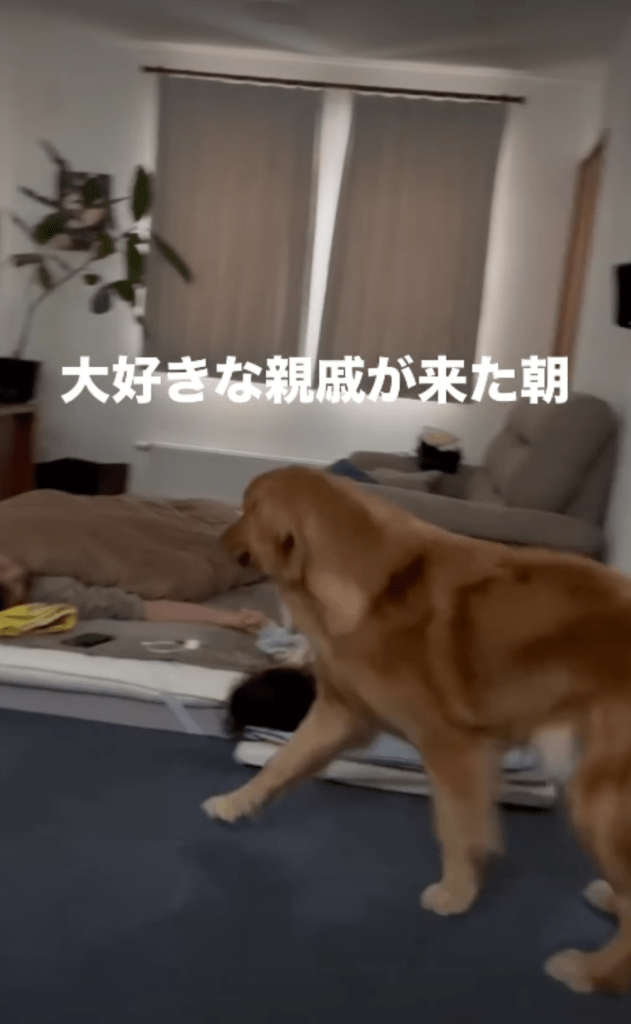 親戚を見つけた海丸くん②（＠umimal_no_bossさんより提供）