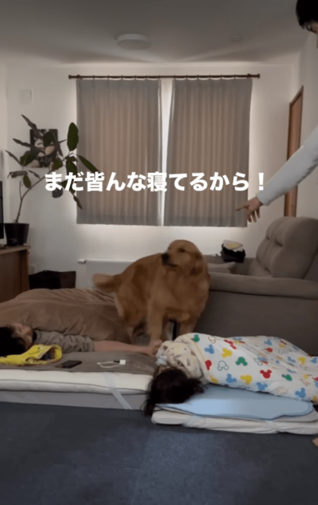 静止する様子①（＠umimal_no_bossさんより提供）