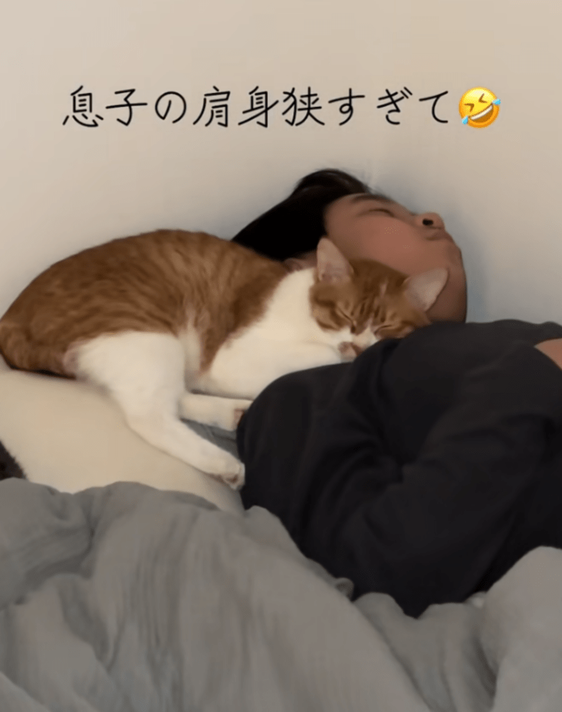 安心しきって息子さんに体を預ける猫ちゃん（@shake.kanpachiさんより提供）